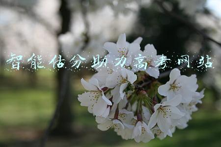 智能估分助力高考网站