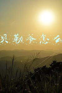 抖音的贝勒爷-邵雨轩哪里人？