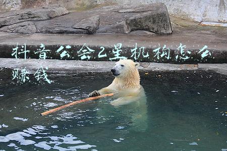抖音2星公会怎么样,抖音10大公会排名?