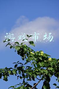 游戏市场