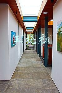 王晓初