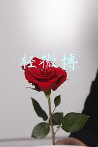 轻微博