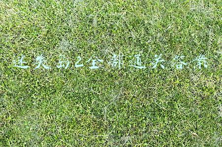 迷失岛2全部通关答案
