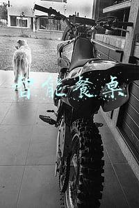 智能餐桌