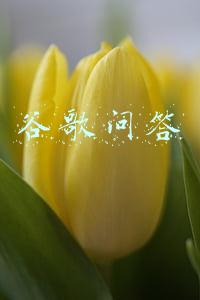 谷歌问答