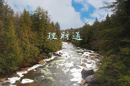 理财通