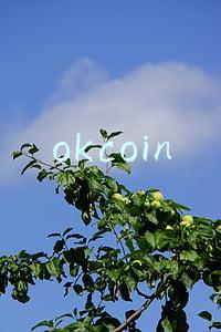 okcoin