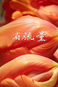 省流量