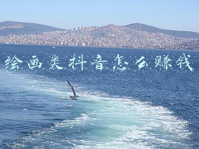 抖音画画能赚钱吗(抖音上面卖王开顺的画可行吗？)