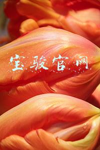 宝骏官网