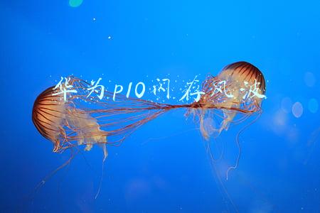 华为p10闪存风波