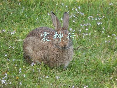 震坤行
