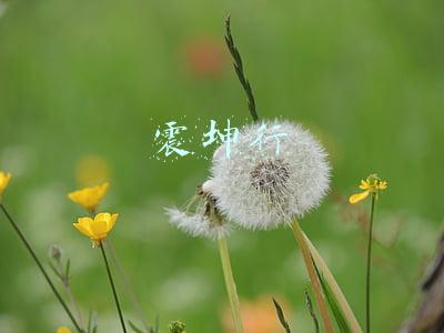震坤行