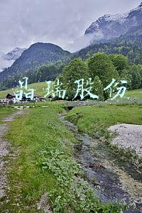 晶瑞股份
