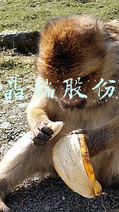 晶瑞股份有限公司官网:晶瑞股份：公司年产9万吨超大规模集成电路用半导体高纯硫酸一期项目主体已建成