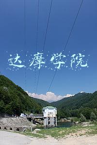 达摩学院