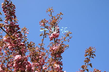 一郭汇