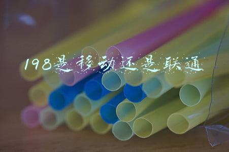 198是移动还是联通还是电信77:上海新增24+734，迪士尼、东方明珠暂停营业