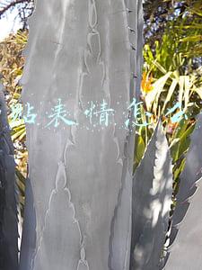 qq贴表情怎么用
