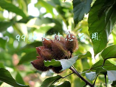 qq贴表情怎么用