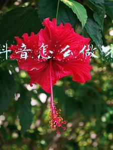 自己做抖音怎么赚钱，抖音如何赚钱？
