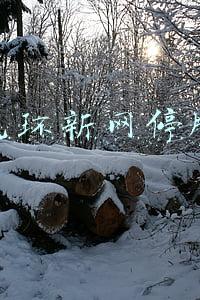 光环新网今天怎么了:光环新网股东户数连续11期下降 筹码集中以来股价累计下跌20.90%