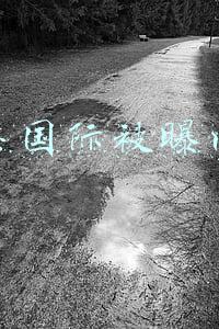 中芯国际被曝内讧