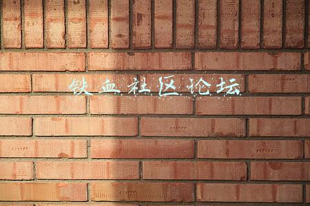 铁血社区论坛