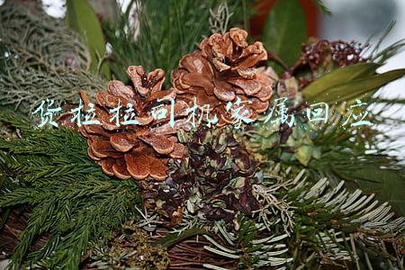 货拉拉司机家属回应
