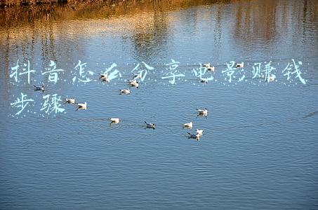 剪辑电影片段发抖音可以赚钱吗？（抖音上分享电影片段怎么赚钱）
