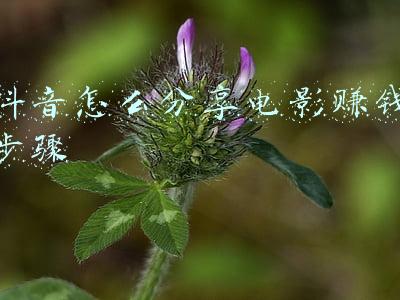 抖音影视剪辑能赚钱吗？（抖音分享影视视频的如何赚钱）