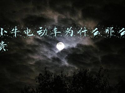 小牛电动车为什么那么贵