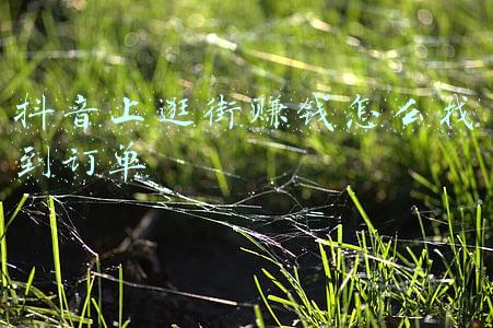 在抖音买的东西怎么查看订单-抖音里买的东西去哪找订单