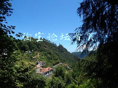 淘宝论坛入口:最前线 | 淘宝内测“淘小铺”，阿里还是想做社交电商