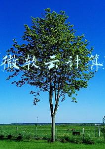 微软云计算