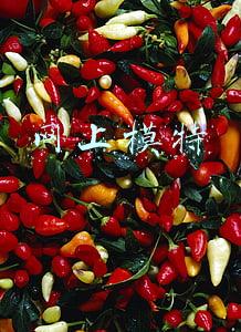 网上模特招聘:“招微胖模特，月薪一万六！” 杭州“超模”公司发布高薪招聘广告，却要应聘者先交钱