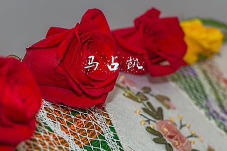 马占凯
