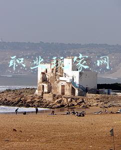 职业玩家网