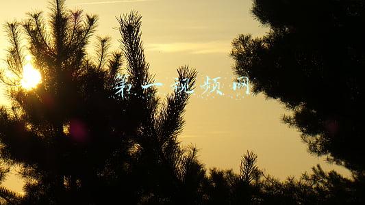 第一视频网