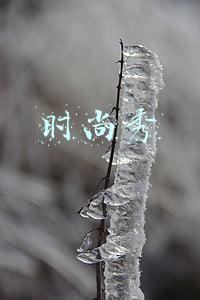 时尚秀