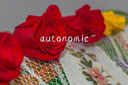 autonomic