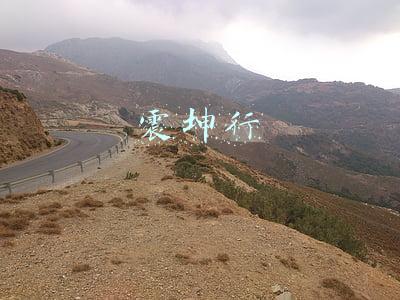 震坤行