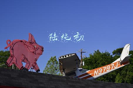 陆纯初