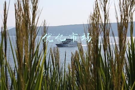 优亿市场