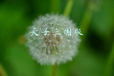 天子三国版