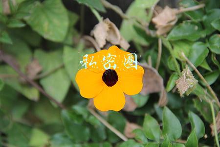 私密圈