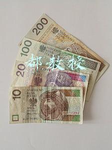 都教授