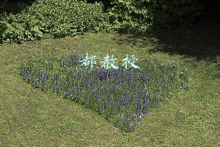 都教授