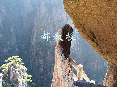 都教授演员名叫什么:还记得星星上来的都教授吗？