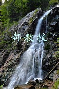 都教授
